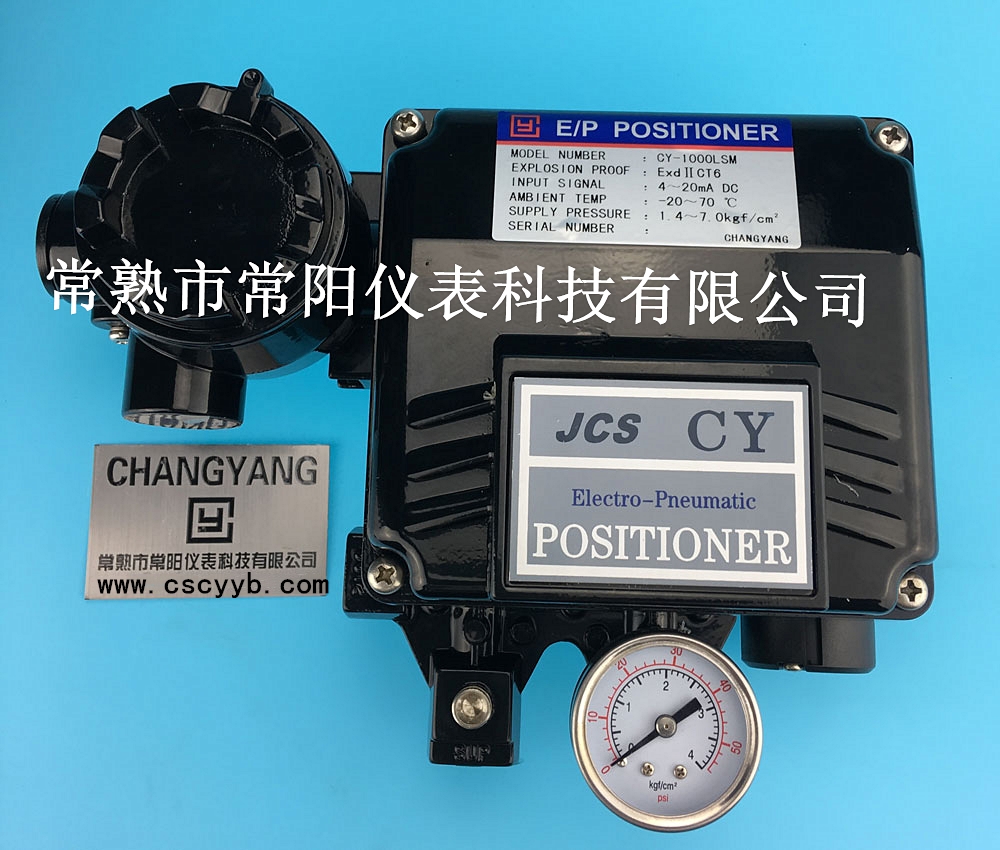 CY1000yTλ